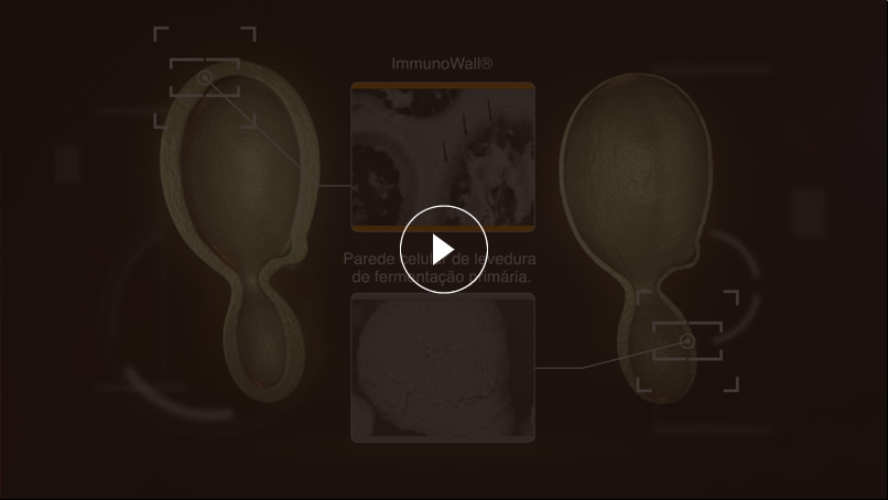 Watch the video and discover the benefits of ImmunoWall®!