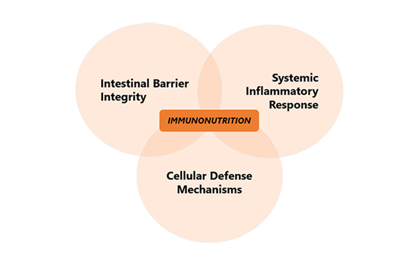 ImmunoWall®