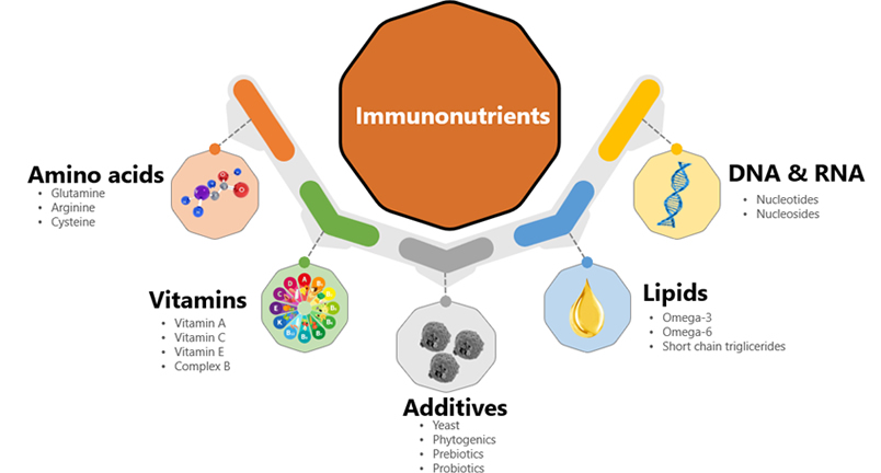 ImmunoWall®